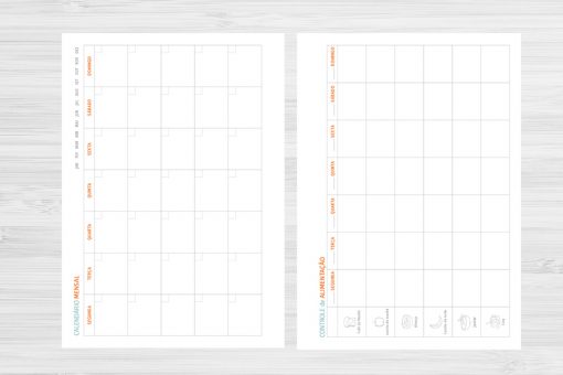 Miolo Digital - Planner Fitness Masculino e Feminino - Imagem 8
