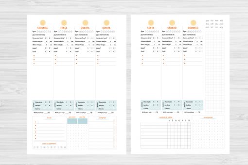 Miolo Digital - Planner Fitness Masculino e Feminino - Imagem 6