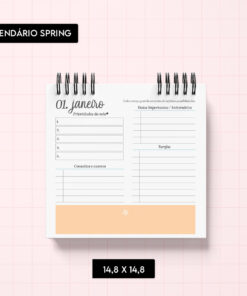 Arquivo digital - Calendário Spring 2027 - Imagem 3